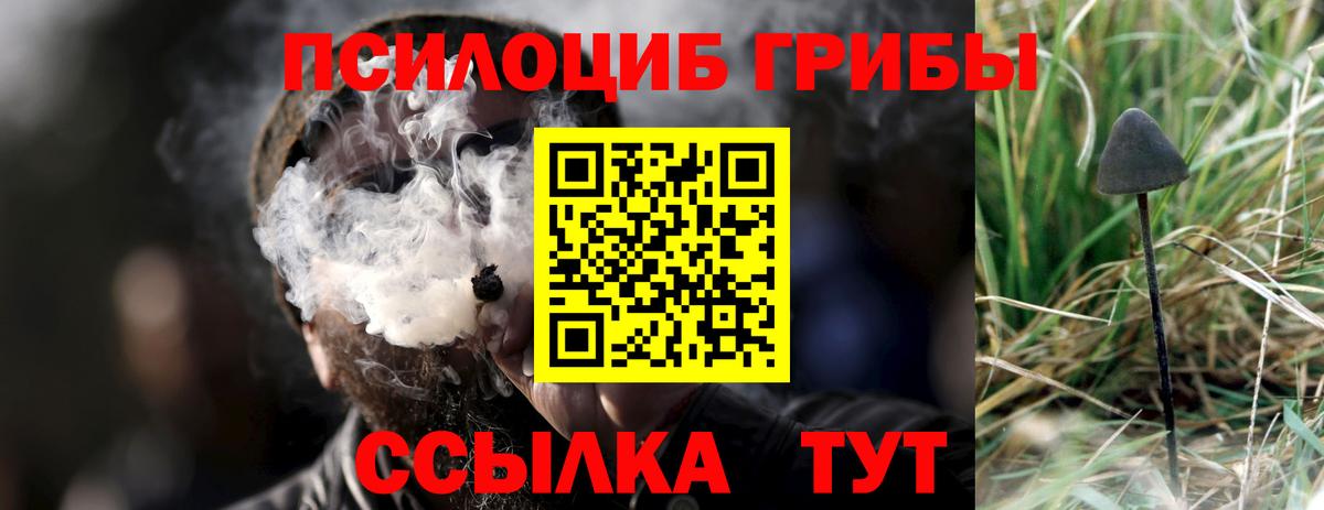 Галлюциногенные грибы Cubensis Ульяновск