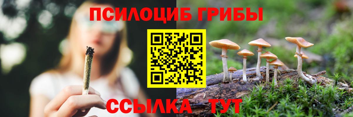Галлюциногенные грибы Magic Shrooms  Вход с VPN  Ульяновск 